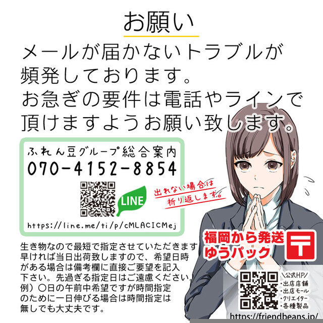 生体 中国産 更紗浜錦(f) 約6~7センチ(1匹)ピンポンパール/高頭パール/琉金/オランダ/金魚/きんぎょ/中国金魚【金魚小屋-希-福岡】