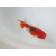 ◆完売◆生体 東錦(7)当歳魚 約8センチ (1匹)あずまにしき/金魚/獅子頭/きんぎょ/国産金魚【金魚小屋-希-福岡】