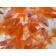 ◆完売◆生体 飯田系琉金 当歳魚 約8~10センチ (1匹)りゅうきん/金魚/獅子頭/きんぎょ/国産金魚【金魚小屋-希-福岡】