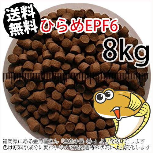 浮上性/日清丸紅飼料ひらめEPF6(6.0mm)8kg小分け品(★宅配便★※東北・北海道・沖縄は別途送料800円/金魚小屋-希-福岡/3日)