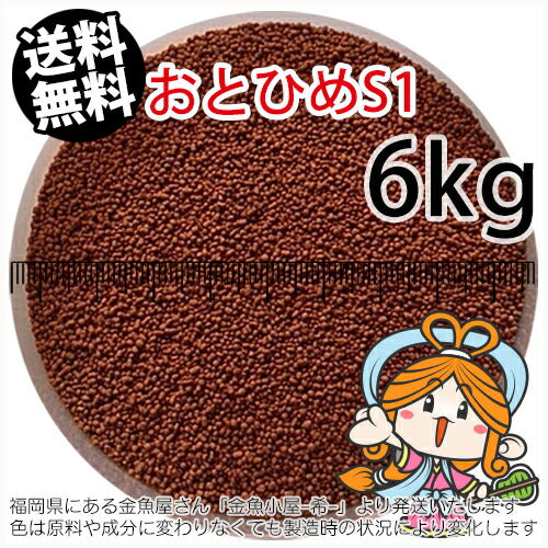 沈降性(沈下性)日清丸紅飼料おとひめS1(1.0mm)6kg小分け品(★宅配便★※東北・北海道・沖縄は別途送料800円/金魚小屋-希-福岡/3日)