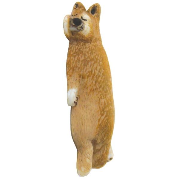 マグネット
