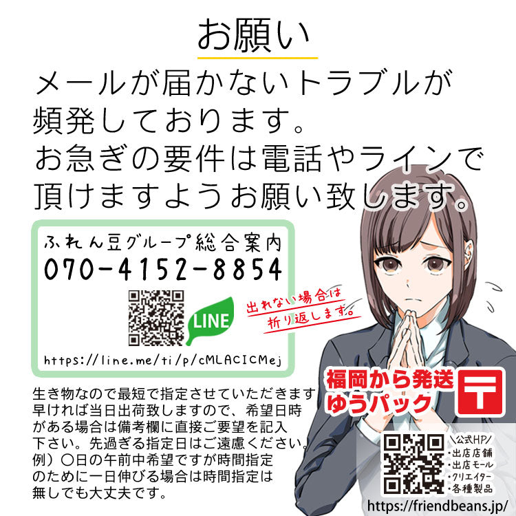 生体 中国産キャリコ蝶尾(2) 約8センチ（1匹）チョービ/出目金/ローズテール/金魚/きんぎょ/中国金魚【金魚小屋-希-福岡】