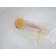 ◆完売◆生体（1匹）  東錦 参歳魚  約13センチ　 アズマニシキ/金魚/あずまにしき/高頭/きんぎょ/国産金魚(金魚小屋-希-福岡)