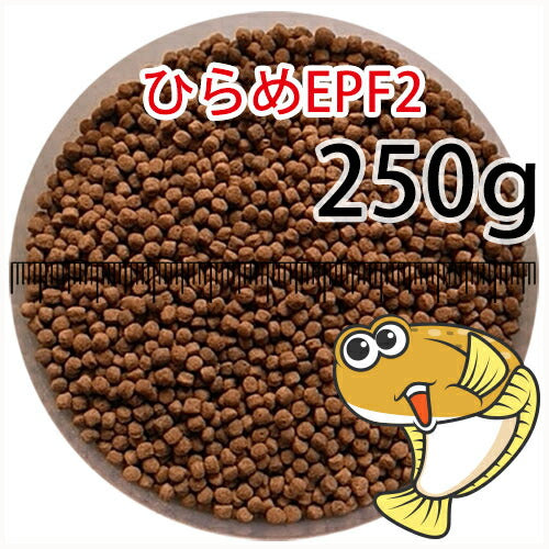 浮上性/日清丸紅飼料ひらめEPF2(2.5mm)250g小分け品(メール便／金魚小屋-希-福岡／3日)