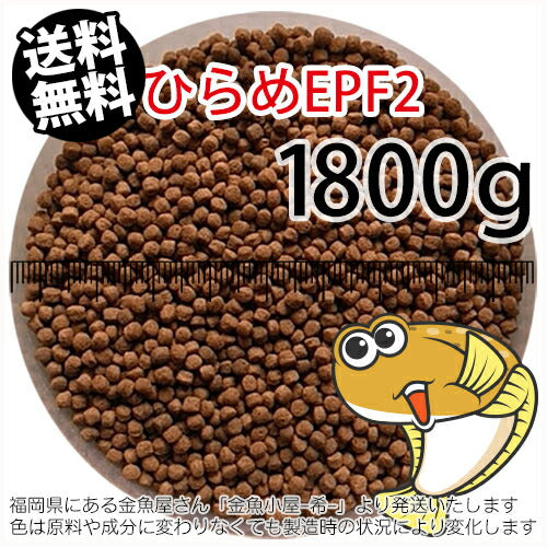浮上性/日清丸紅飼料ひらめEPF2(2.5mm)1800g小分け品(メール便／金魚小屋-希-福岡／3日)2kgから規格変更