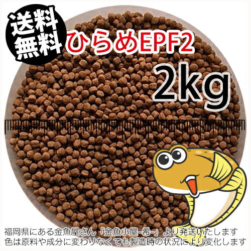 浮上性/日清丸紅飼料ひらめEPF2(2.5mm)2kg小分け品(宅配もしくはレターパック※東北北海道沖縄送料800円／金魚小屋-希-福岡／3日)
