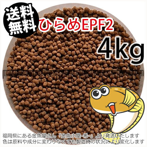 浮上性/日清丸紅飼料ひらめEPF2(2.5mm)4kg小分け品(★宅配便★※東北・北海道・沖縄は別途送料800円／金魚小屋-希-福岡／3日)