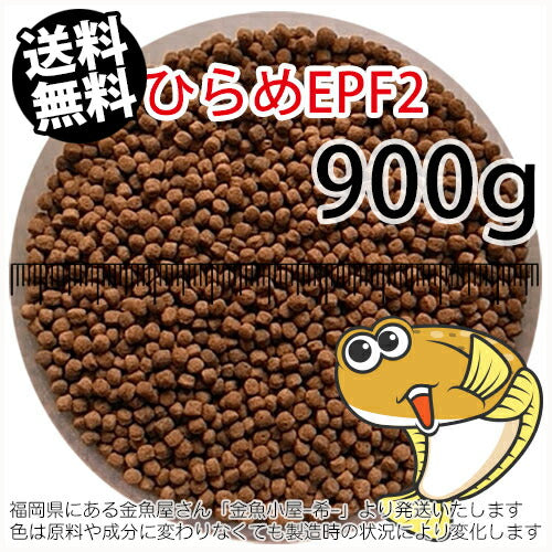 浮上性/日清丸紅飼料ひらめEPF2(2.5mm)900g小分け品(メール便／金魚小屋-希-福岡／3日)1kgから規格変更
