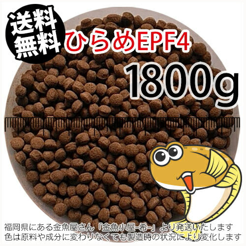 浮上性/日清丸紅飼料ひらめEPF4(4.6mm)1800g小分け品(メール便／金魚小屋-希-福岡／3日)2kgから規格変更