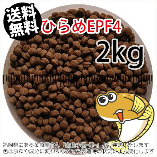 浮上性/日清丸紅飼料ひらめEPF4(4.6mm)2kg小分け品(宅配もしくはレターパック※東北北海道沖縄送料800円／金魚小屋-希-福岡／3日)