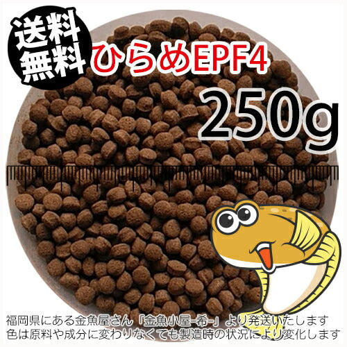 浮上性/日清丸紅飼料ひらめEPF4(4.6mm)250g小分け品(メール便／金魚小屋-希-福岡／3日)