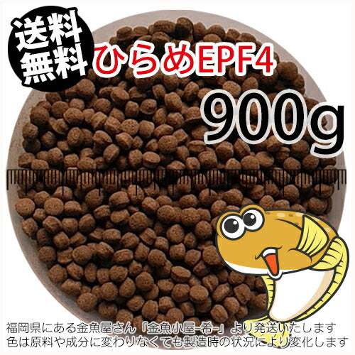 浮上性/日清丸紅飼料ひらめEPF4(4.6mm)900g小分け品(メール便／金魚小屋-希-福岡／3日)1kgから規格変更