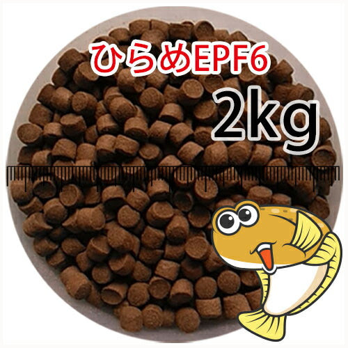 浮上性/日清丸紅飼料ひらめEPF6(6.0mm)2kg小分け品(宅配もしくはレターパック※東北北海道沖縄送料800円／金魚小屋-希-福岡／3日)