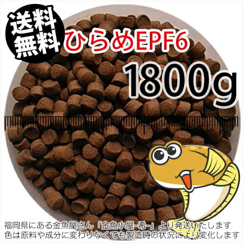 浮上性/日清丸紅飼料ひらめEPF6(6.0mm)1800g小分け品(メール便／金魚小屋-希-福岡／3日)2kgから規格変更