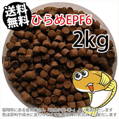 浮上性/日清丸紅飼料ひらめEPF6(6.0mm)2kg小分け品(宅配もしくはレターパック※東北北海道沖縄送料800円／金魚小屋-希-福岡／3日)