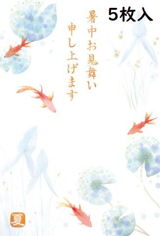 金魚ポストカード