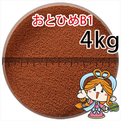 沈降性(沈下性)日清丸紅飼料おとひめB1(0.2～0.36mm)4kg小分け品(★宅配便★※東北・北海道・沖縄は別途送料800円／金魚小屋-希-福岡／3日)