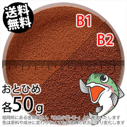 沈降性(沈下性)お試し日清丸紅飼料おとひめB1(0.2~0.36mm)とB2(0.36~0.62mm)の各50g(合計100g)小分け品(メール便／金魚小屋-希-福岡／3日)
