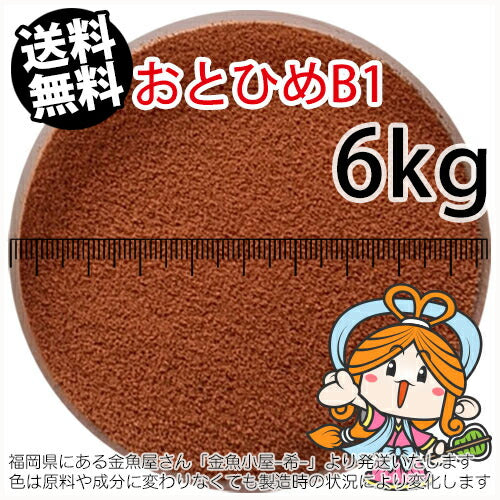 沈降性(沈下性)日清丸紅飼料おとひめB1(0.2~0.36mm)6kg小分け品(★宅配便★※東北・北海道・沖縄は別途送料800円／金魚小屋-希-福岡／3日)