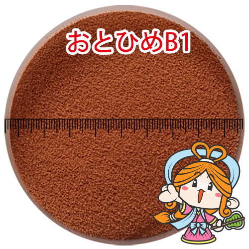 日清丸紅飼料おとひめB1/0.2〜0.36mm/沈降性10kg(宅配便/メーカー直送/3営業日)金魚小屋-希-