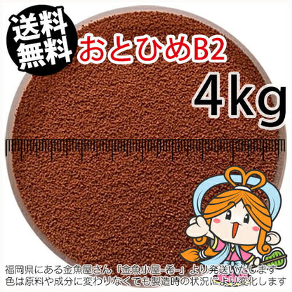沈降性(沈下性)日清丸紅飼料おとひめB2(0.36~0.62mm)4kg小分け品(★宅配便★※東北・北海道・沖縄は別途送料800円／金魚小屋-希-福岡／3日)