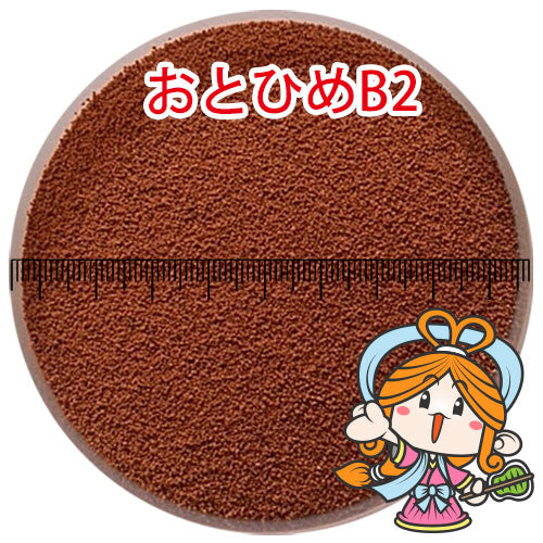 日清丸紅飼料おとひめB2/0.36〜0.62mm/沈降性10kg(宅配便/メーカー直送/3営業日)金魚小屋-希-
