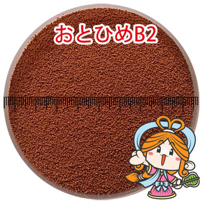 日清丸紅飼料おとひめB2/0.36〜0.62mm/沈降性10kg(宅配便/メーカー直送/3営業日)金魚小屋-希-