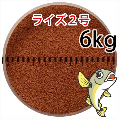日清丸紅飼料ライズ2号(粒径0.36mm)6kg小分け品(★宅配便★※東北・北海道・沖縄は別途送料800円／金魚小屋-希-福岡／3日)