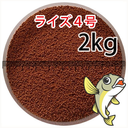日清丸紅飼料ライズ4号(粒径0.58～0.84mm)2kg小分け品(宅配もしくはレターパック※東北北海道沖縄送料800円／金魚小屋-希-福岡／3日)