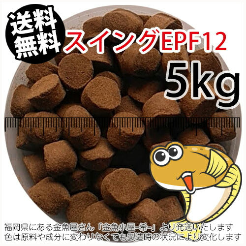 浮上性/日清丸紅飼料ひらめスイングEPF12（12.3mm)5kg小分け品(★宅配便★※東北・北海道・沖縄は別途送料800円／金魚小屋-希-福岡／3日)